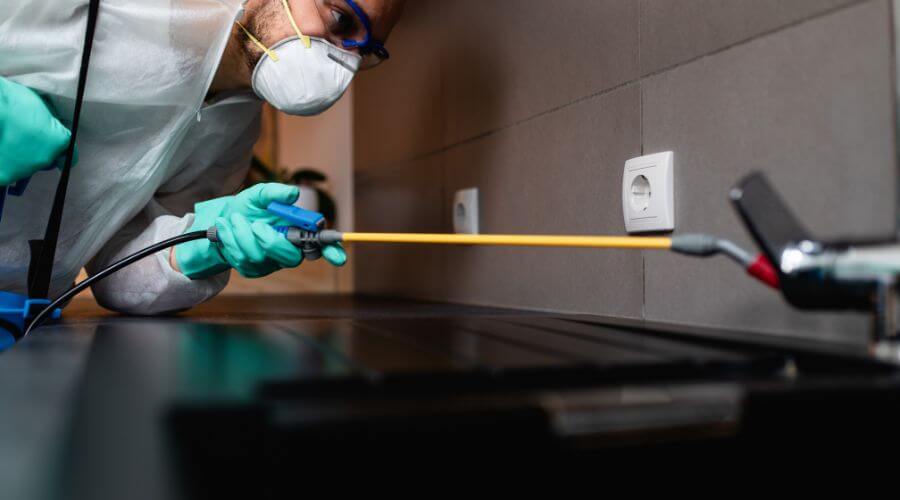 Why choose North Tempe Termite Inspection for termite inspection in North Tempe